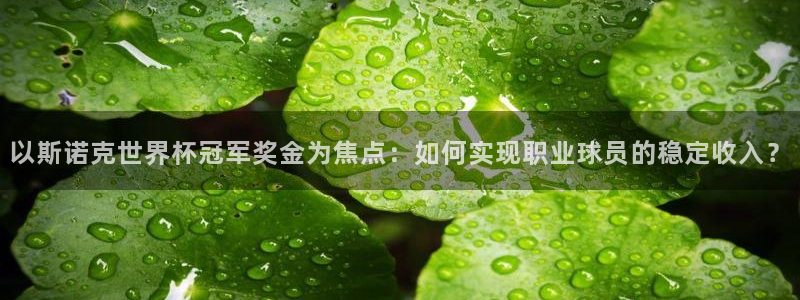 2026世界杯32强对阵图表：以斯诺克世界杯冠军奖金为焦点：如何实现职业球员的稳定收入？