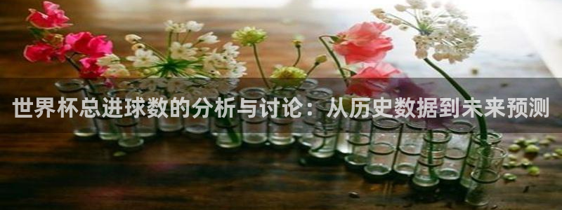 世界杯足球赛2026：世界杯总进球数的分析与讨论：从历史数据到未来预测
