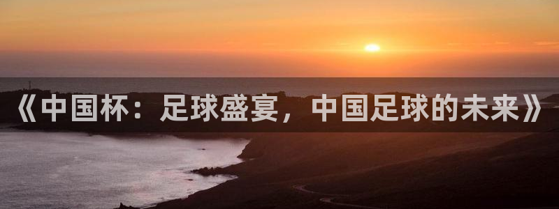 世界杯预选赛规则：《中国杯：足球盛宴，中国足球的未来》