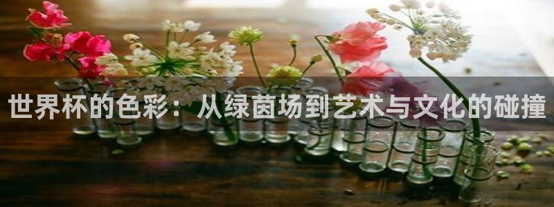 世界杯官网：世界杯的色彩：从绿茵场到艺术与文化的碰撞