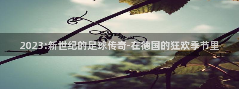 世界杯预选赛亚洲区赛程：2023:新世纪的足球传奇-在德国的狂欢季节里