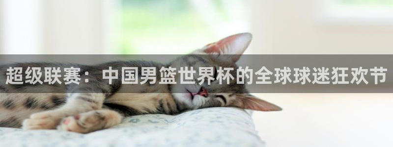 国际足联世界杯：超级联赛：中国男篮世界杯的全球球迷狂欢节