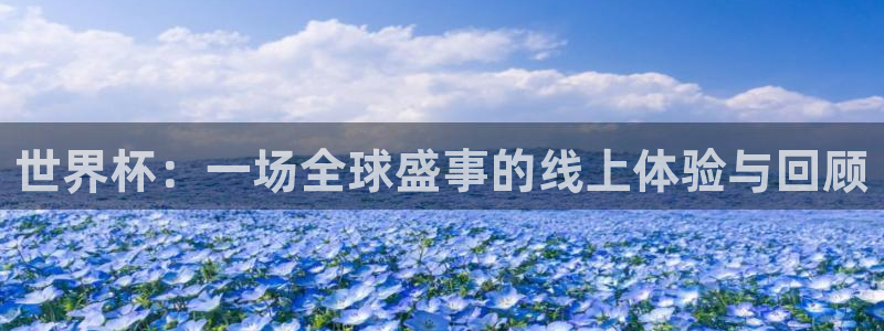 2026世界杯赛：世界杯：一场全球盛事的线上体验与回顾