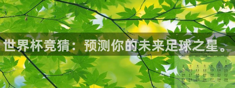 世界杯对阵图2026：世界杯竞猜：预测你的未来足球之星。
