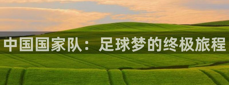 世界杯球赛：中国国家队：足球梦的终极旅程