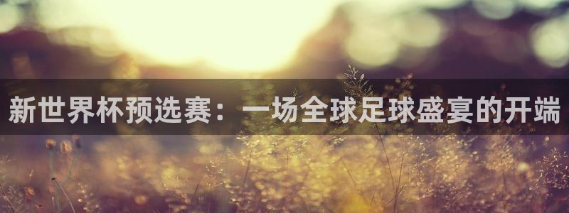 2026世界杯足球赛程时间表：新世界杯预选赛：一场全球足球盛宴的开端
