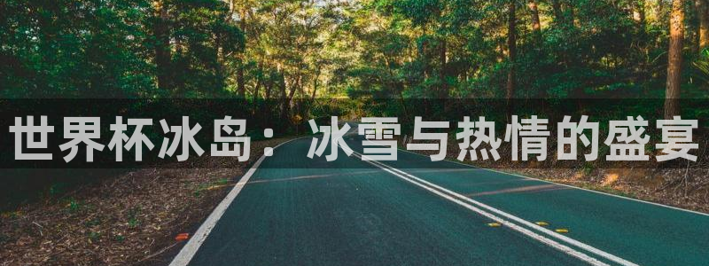 2026世界杯亚洲区预选赛：世界杯冰岛：冰雪与热情的盛宴