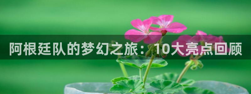 世界杯官网：阿根廷队的梦幻之旅：10大亮点回顾