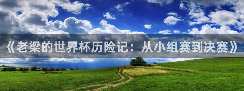 欧洲世界杯预选赛:《老梁的世界杯历险记:从小组赛到决赛》