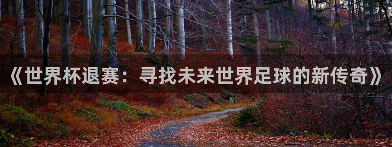法国杯2026赛程表：《世界杯退赛：寻找未来世界足球的新传奇》