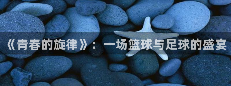 世界杯比赛时间：《青春的旋律》：一场篮球与足球的盛宴